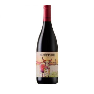Survivor Cabernet (1x750ml)