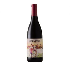 Survivor Syrah (1x750ml)
