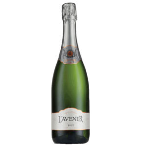 L'Avenir Brut (1 x 750ml)