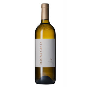 Steenberg Magna Carta (1 x 750ml)